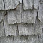 2008-reposoir_0047.jpg