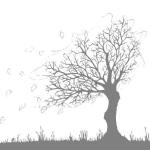 arbre2.jpg