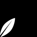 logos.jpg
