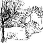 Vue de la rive