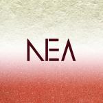 NEA architecture