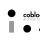 logocobloc_copy.jpg