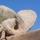nature_architecture_photo_gg.jpg