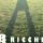 SELARL BRICCHI OLIVIER
