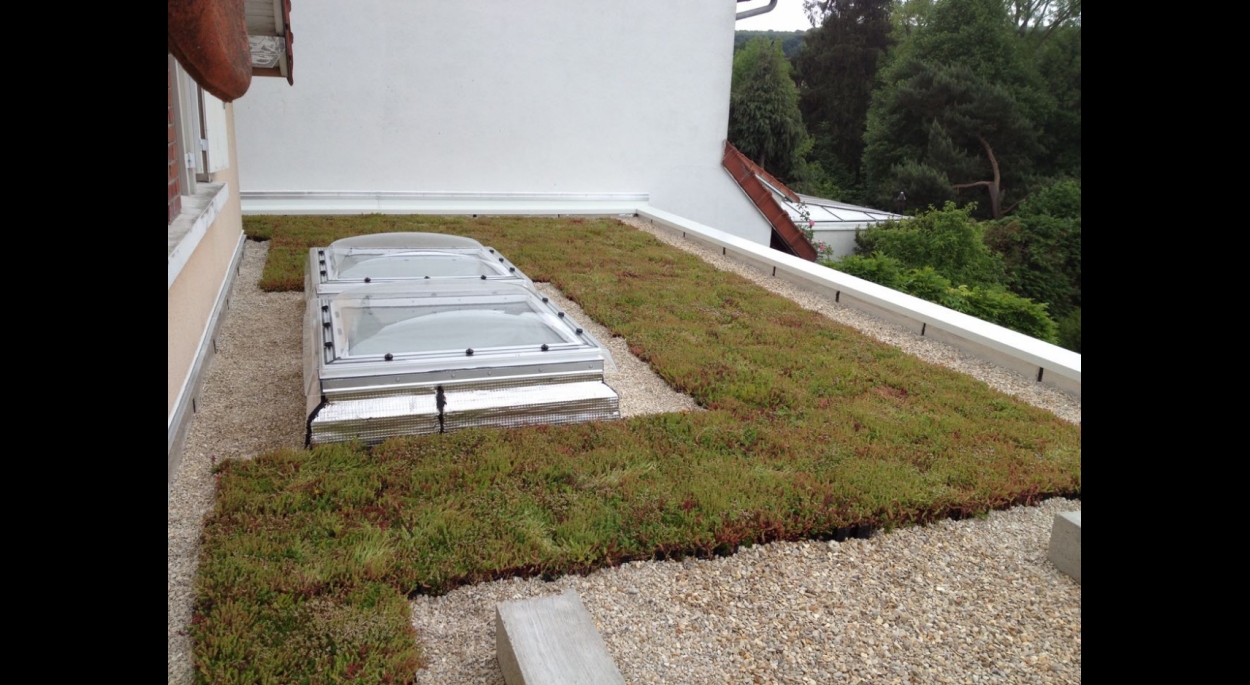 Extension de maison individuelle - Toiture terrasse végétalisée