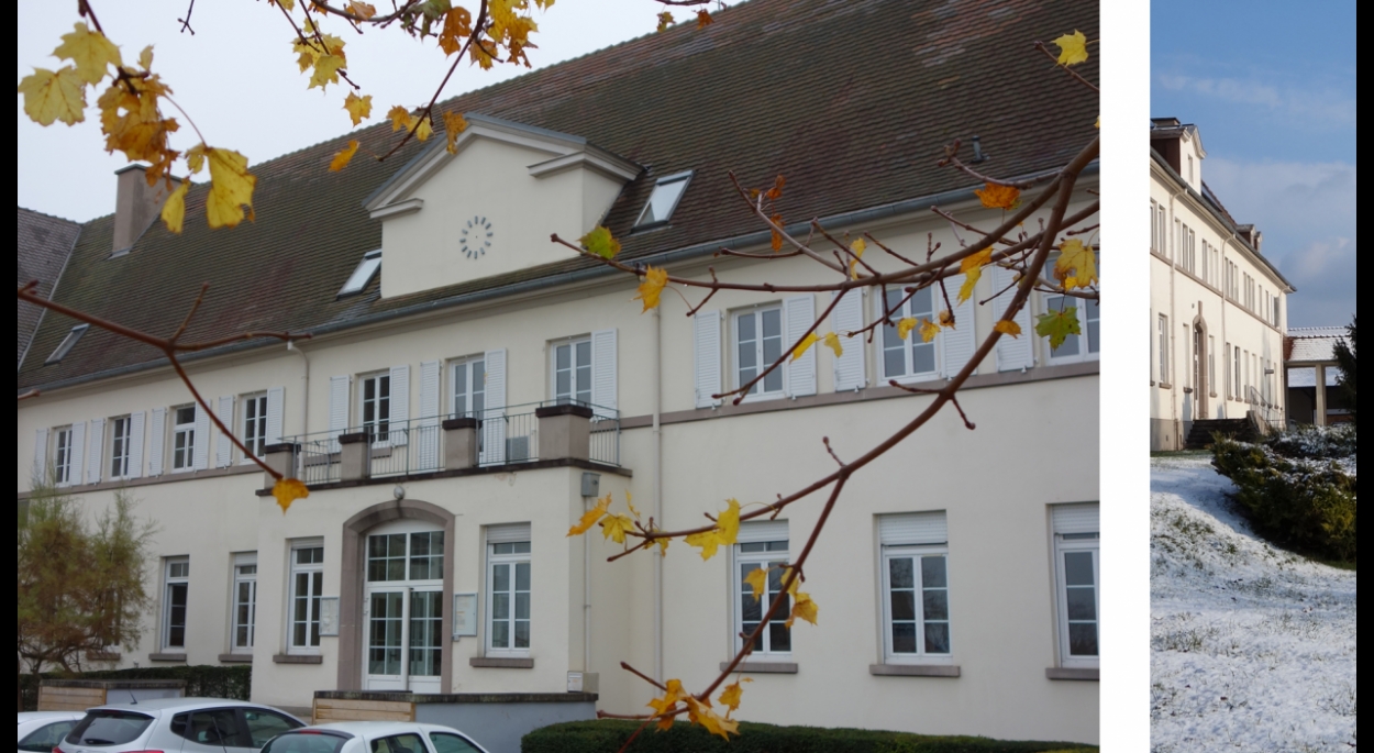restructuration Lycée Professionnel Agricole ERSTEIN